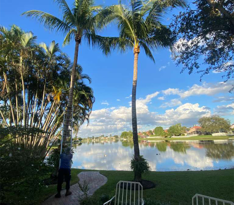 Towing services in Hesperia