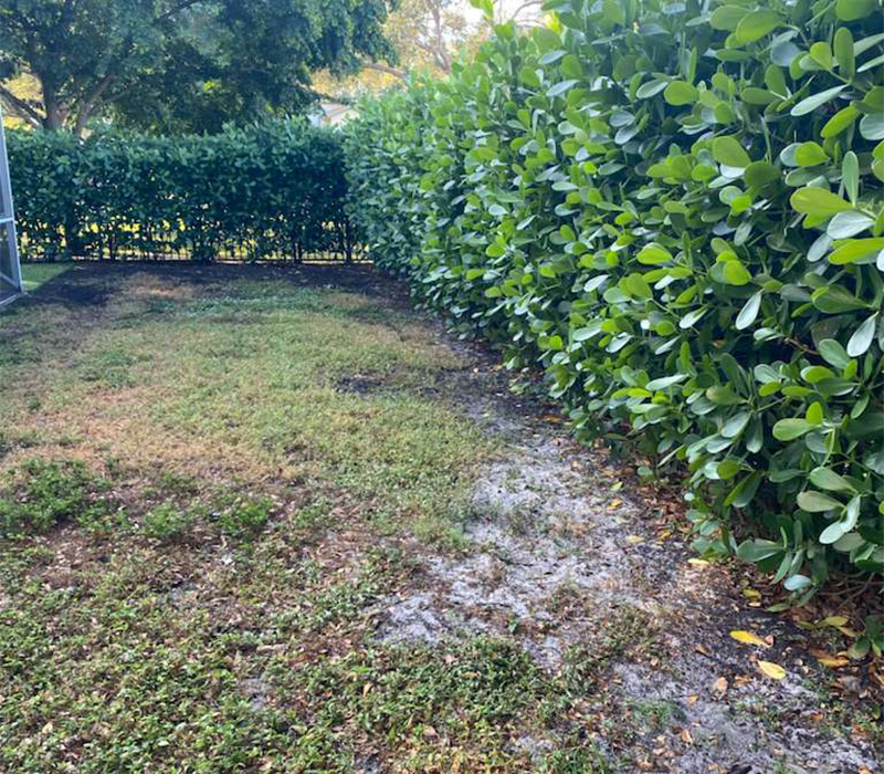 Towing services in Hesperia