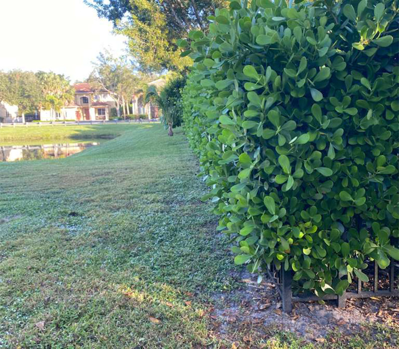 Towing services in Hesperia