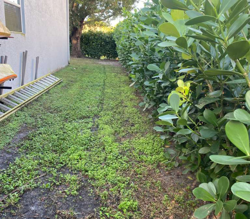 Towing services in Hesperia