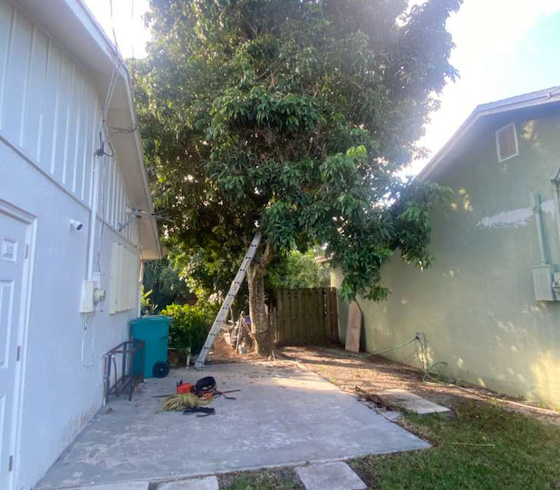 Towing services in Hesperia